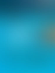 Can Athletes Legally Consume Cannabis? The Truth About Cannabis in Sports