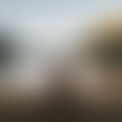 Justin Mattock Helps Us Turn Our "Sweet Dreams," Into Reality