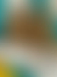 Blunt Truth: Why Stoners Are Getting Picky About Pre-Rolls