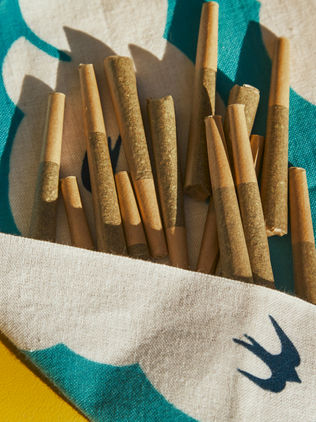 Blunt Truth: Why Stoners Are Getting Picky About Pre-Rolls