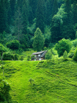 Your Dead Vapes Could Power a House, This Man Proved It