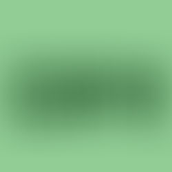 Prepare Yourself for Ponderosa Grove's Debut Record, 'The Debut'