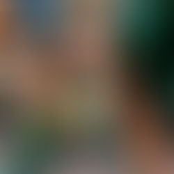 Anna Thoresen Discusses Personal Struggles In, “Party Girl’s Lament”