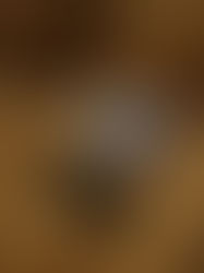 We’ve Spent More Time Playing Call of Duty Than Humans Have Spent Existing