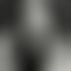 Indiana Bones Is A “Wanted Man”