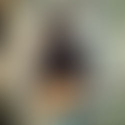 Dive Into the Honky-Tonk Gyrations Found Within TruckerBomb's Debut Country Jam, "Irregardlessly"