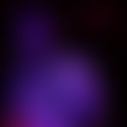 Fleeting Paris Shines In “Movie Star Quality”