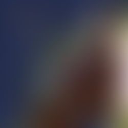 Cycles of Connection: Craig Greenberg’s Honest Look at ‘Dissipating Energies’