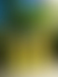 From Hive to High: Buzz'd Is Here to Save the Bees