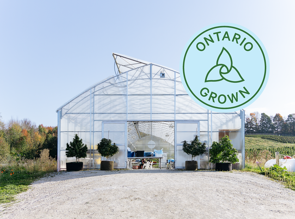 Clear greenhouse on a farm with plants at entrance. Large "Ontario Grown" logo in top right. Sunny day with trees in background.