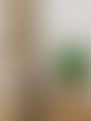 10 Countries That Grow the Best Cannabis in the World