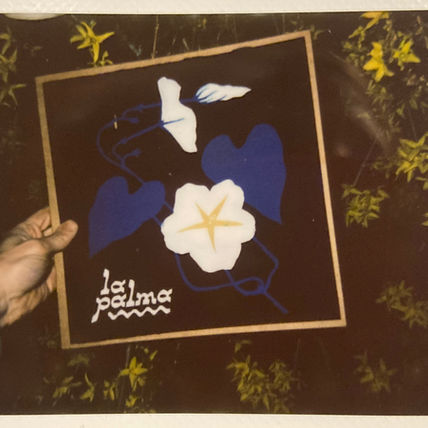 La Palma Introduces the World to Distanced Creativity in "Sábado"