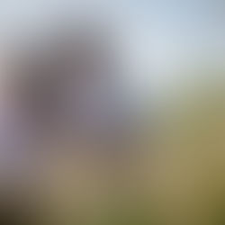 In The Shallows Tell Us Worry Not and "Let It Go"