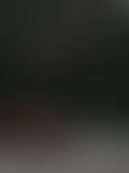 How to Buy Weed Legally in The 6ix Without Looking Like a Newbie