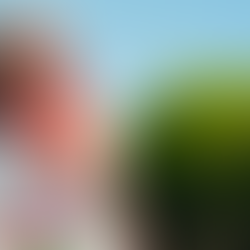 Find Your "Summer Style" with Allison Asarch's Recent Single