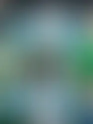 High Fashion: The Growing Connection Between Weed and Streetwear