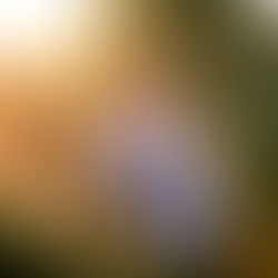 In The Shallows Declare Peace of Mind in, "Let's Not Start a War"