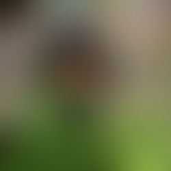 Take A Dose Of Nik Rael’s Wistful Hit, “Medicine Man”