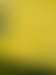 Canada Needed a Low Sugar Cannabis Drink, and JUST Seltzers Understood the Assignment