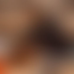 Discover This Exciting New Album From Malexes, 'High And Low'