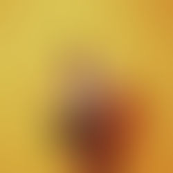 Bask In The Roots Of Hip-Hop With Jermaine Robinson’s “Rap Sinatra”