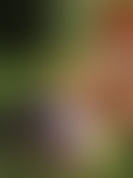 THC Percentage Is the Least Interesting Thing About Your Weed