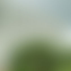 Golden Crown Casino and Australian Players: Availability, Restrictions, and Features