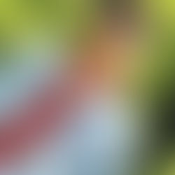 Let Waves of Tranquil Aura's Lap over You on Suga Brown's Latest Release "BDRM"