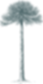 MOLLFUN_RECURSORecurso 3_300x.png
