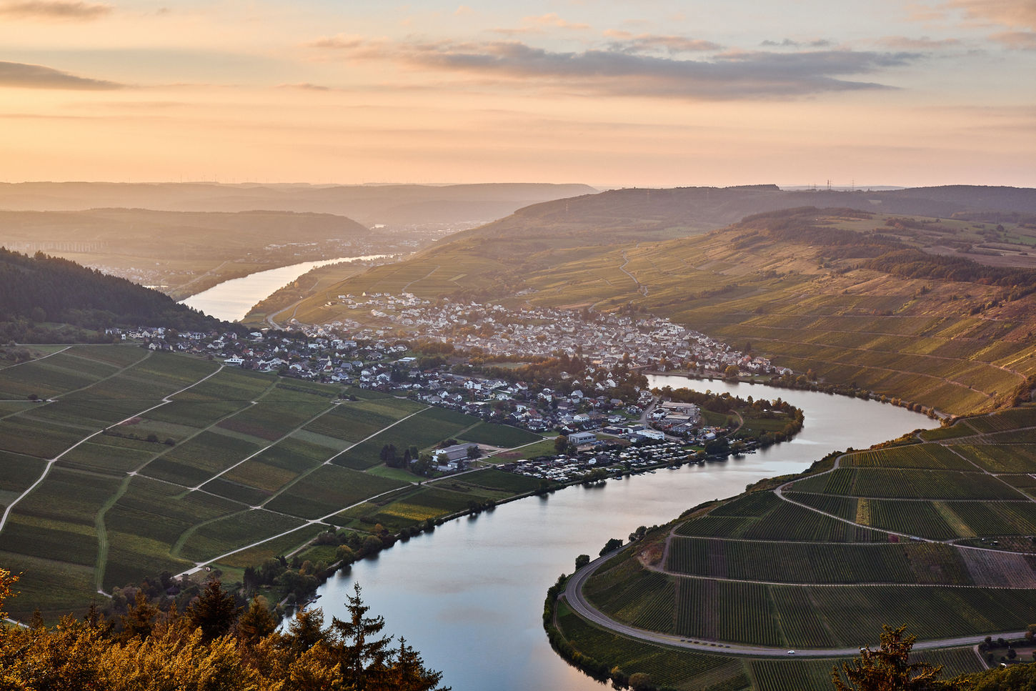Landschaft während des Sonnenuntergang. Der Fluss Mosel fließt durch malerische Weinberge in Rheinland-Pfalz. Zu sehen ist der Ort Mehring und der Fünfseenblick. Der Himmel ist golden. Landschaftsfotografie
