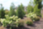 653FD862-02A5-4605-89AC-526398E9D47E.jpeg