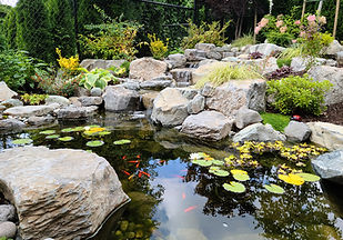 ecosystem pond