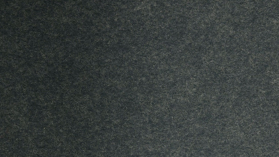 wwce_lnd_felt_12fps.mp4