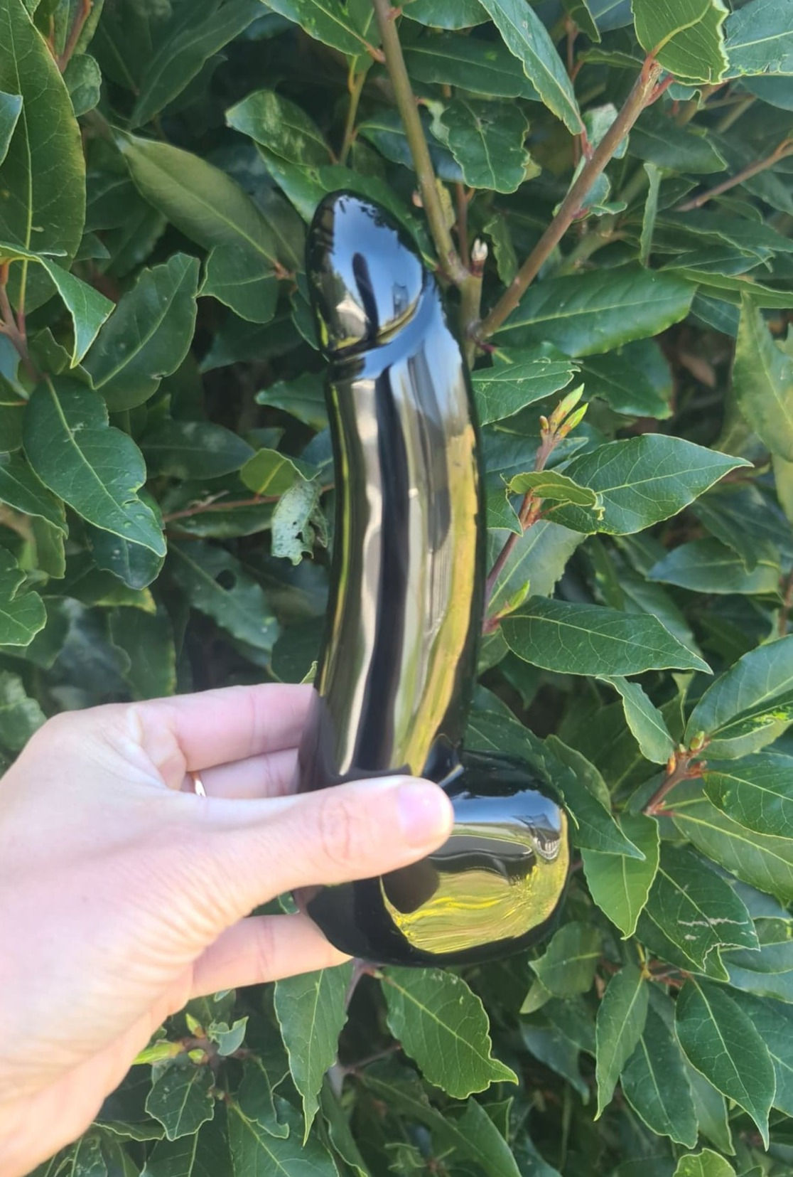Obsidian Cock- Regular size