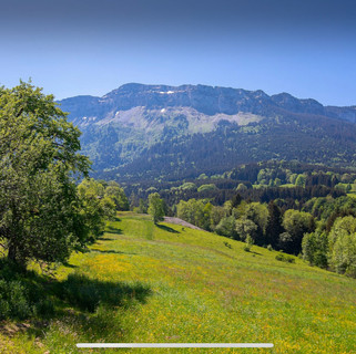 vue depuis la maison de retraite.jpeg