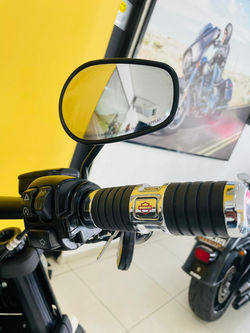 Harley Davidson Fat Bob 114 2022 (11)