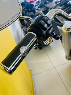 Harley Davidson Fat Boy 114 2019 (35)