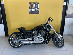 Harley Davidson V Rod Muscle 1250 2014 (13)