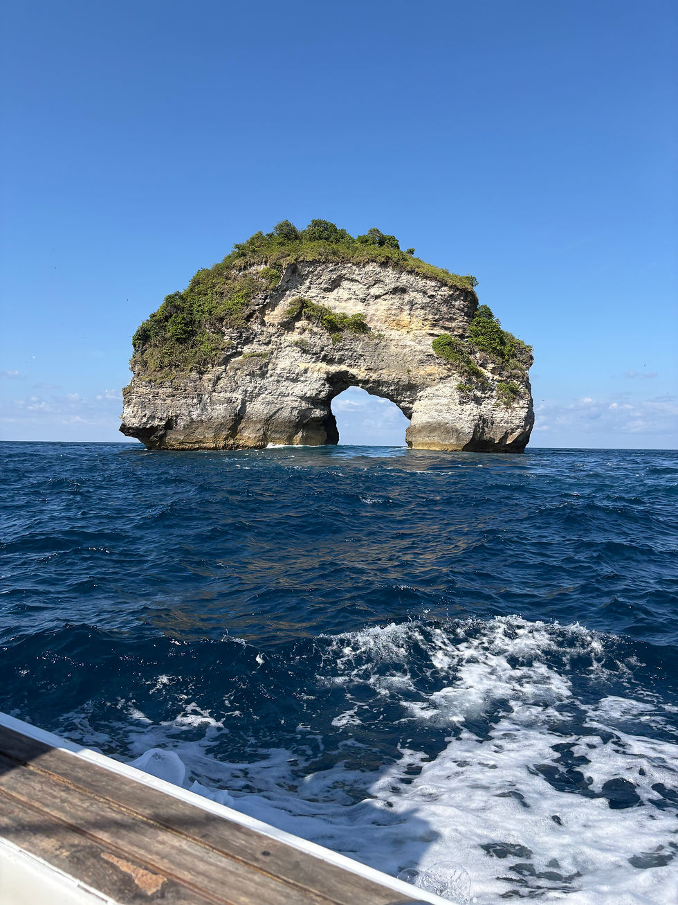 arc bali.jpg