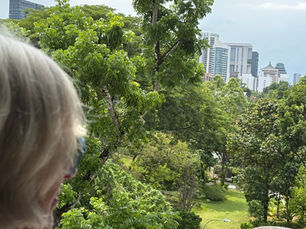 photo de singapour et de la nature au sein de la ville