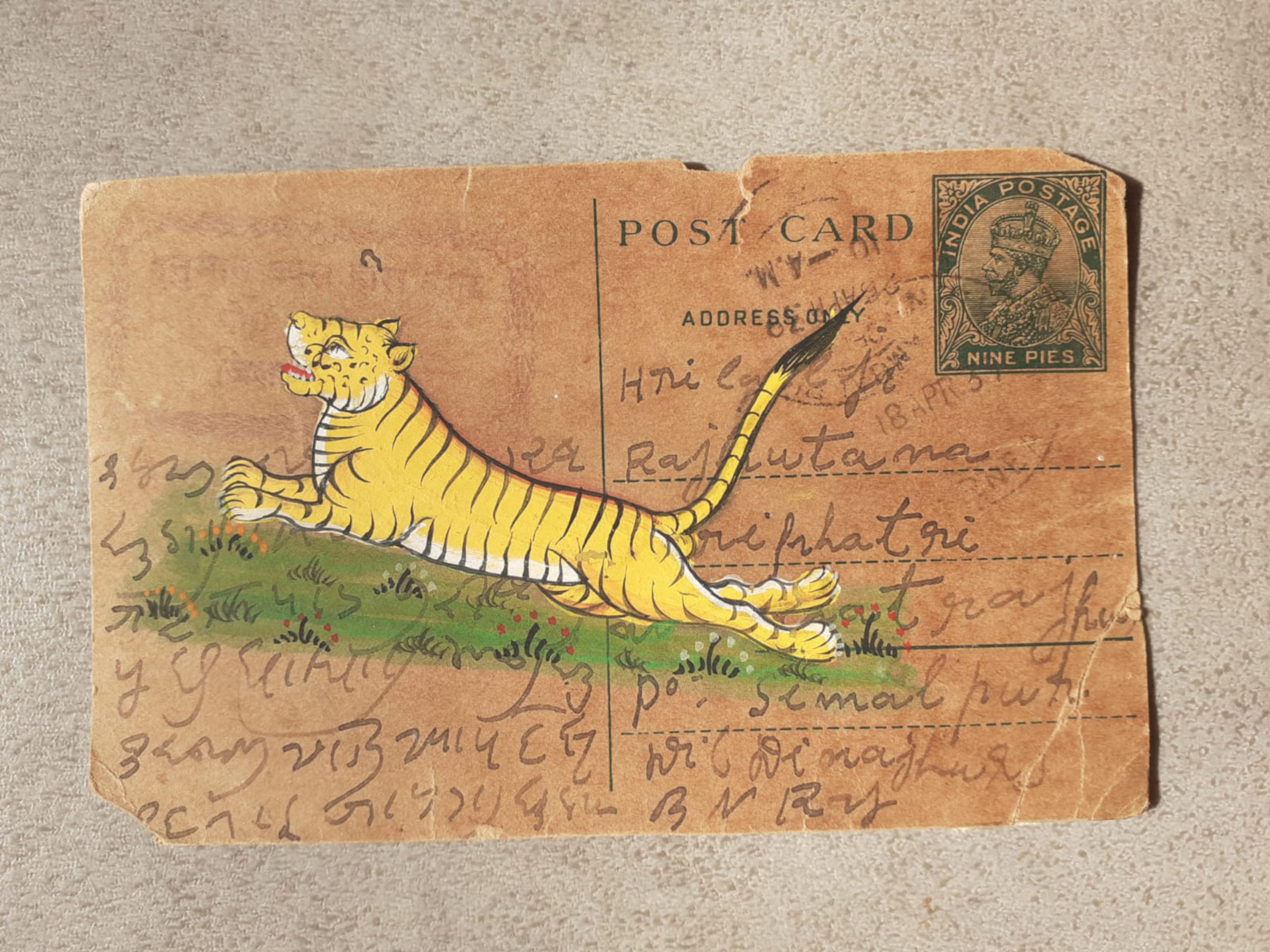 carte postale/ancienne/tigre sacré du Bengale/inde/Rajasthan/Bundi/miniature/dessin/peinture