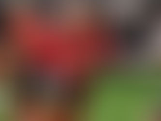 IFL 2026 Week 11: What We Learned