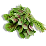 grd_edited.png