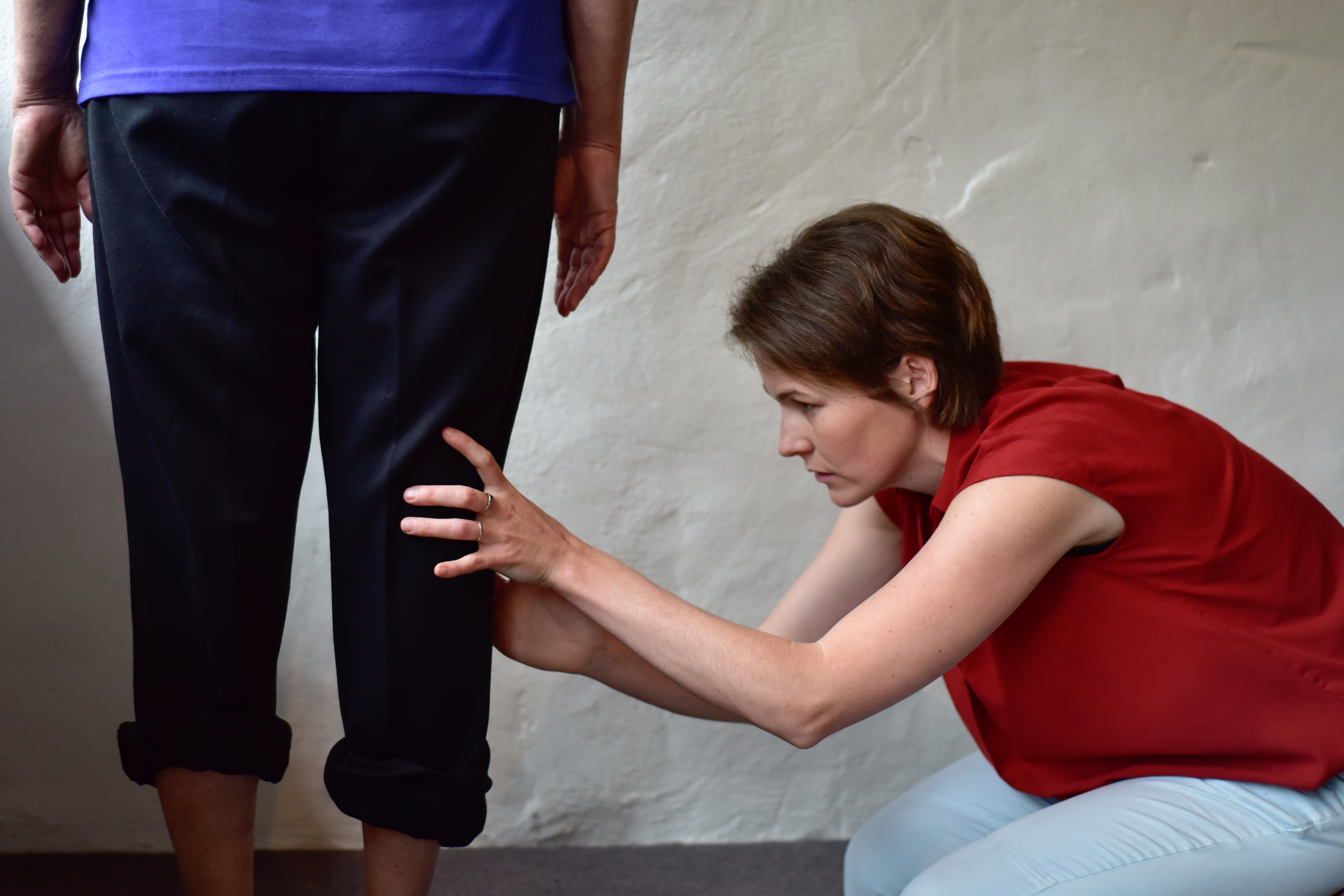 Knee Assessment