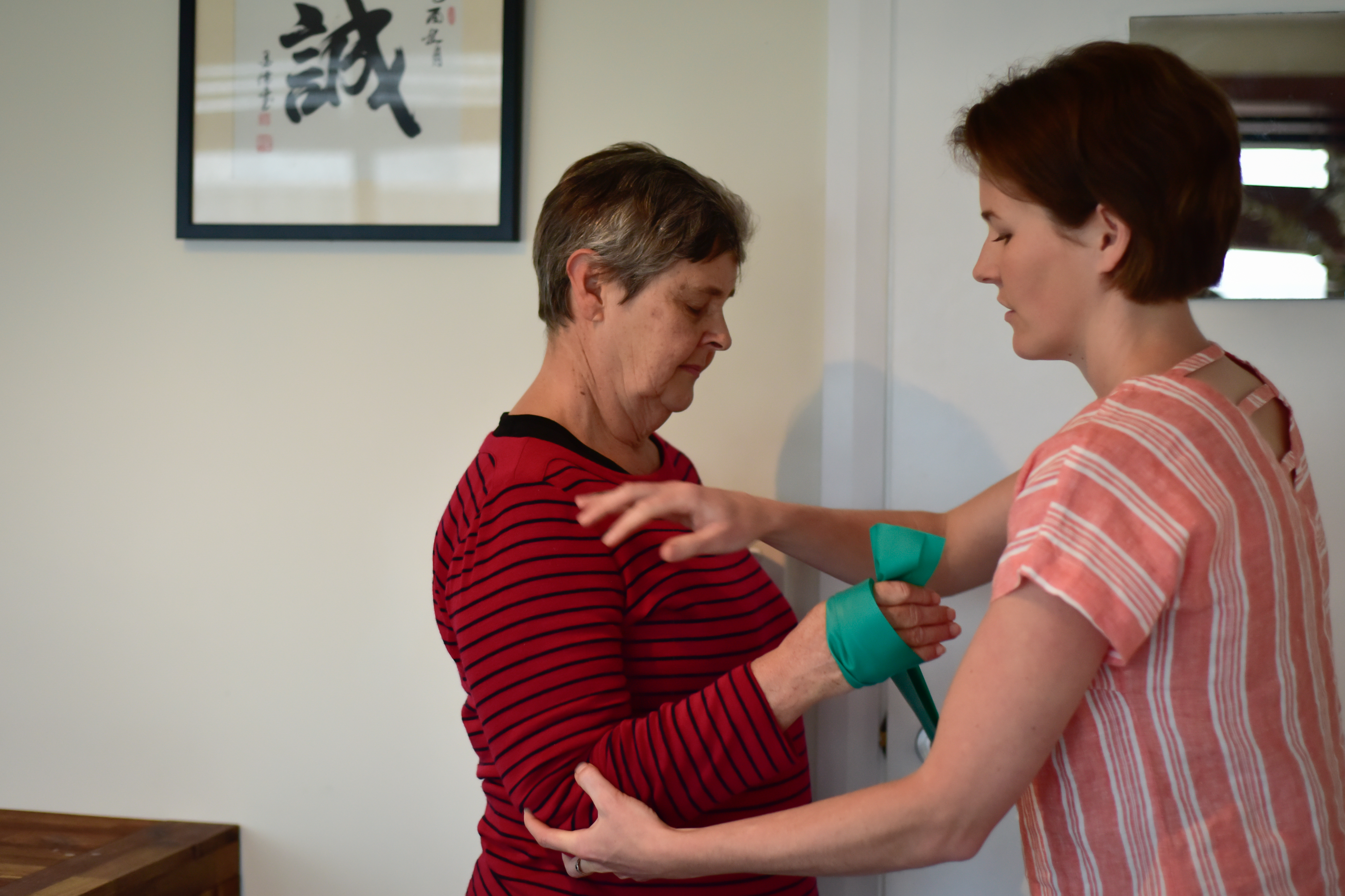 Shoulder Rehabilitation