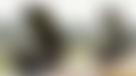 More EU Sanctions Against Russia Set To Begin