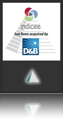 Indicee_DnB_2014-4trans