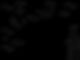 Empress_HoldingPage_BG.jpeg