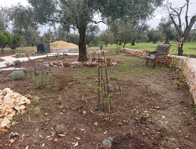 Rockery bed Dec22 (2).JPG