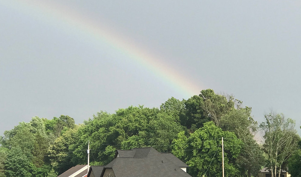 Rainbow Complaints rainbow-complaints